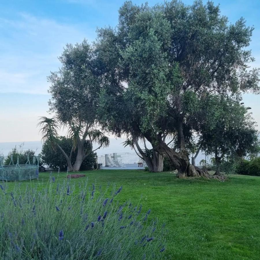 Agriturismo La Tuffatrice Imperia Exterior photo