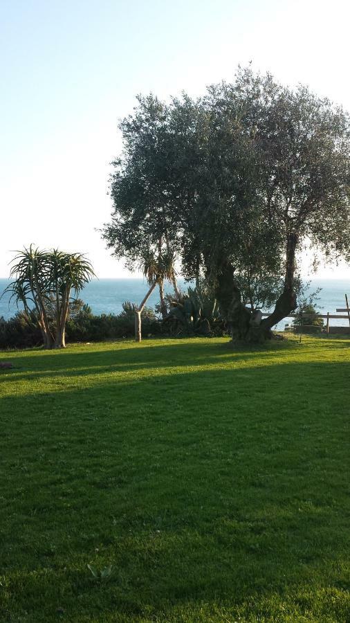 Agriturismo La Tuffatrice Imperia Exterior photo